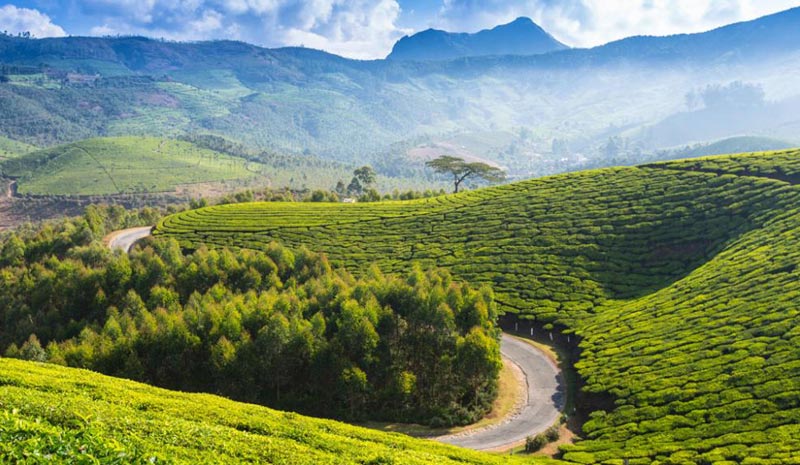 Day 05: Depart Ooty